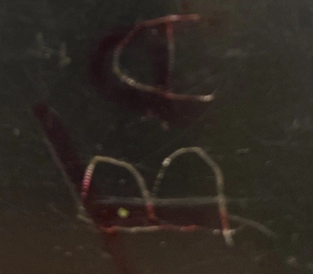 Texas Instruments TI-83 Plus Graphing Calculator Tested And Working