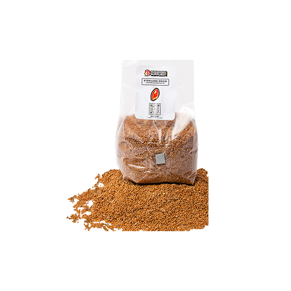 MushroomSupplies - Mushroom Grain Spawn 3lbs