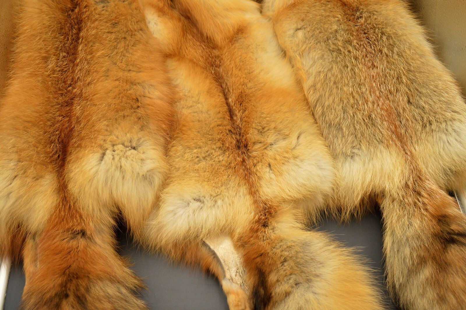 Tanned Red Fox Winter “Heavy Fur” Western Extra Large Premo (rfwhpremo)