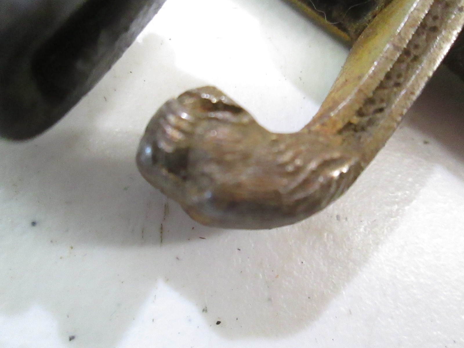 WWI GERMAN RUBY EYES LION HEAD DRESS CAVALRY SWORD & SCABBARD EICKHORN MAKER Y51