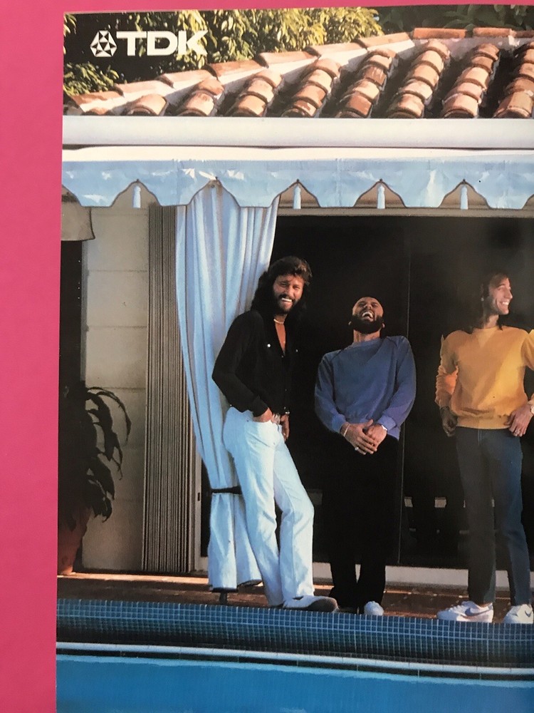 Eddie VAN HALEN 1981 Japan Original YOUNG GUITAR Magazine FAIR WARNING Bumblebee