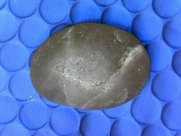 Rock Specimen #203---UNKNOWN SPECIMEN