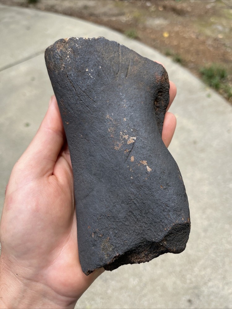 Fossilized Extinct Baleen Whale Rib Bone Fossil Segment- Not Modern (EB-13)