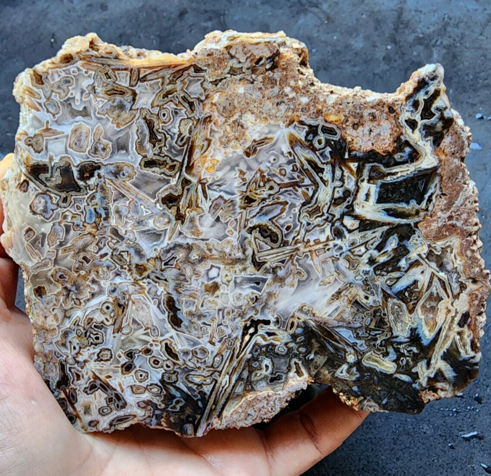 34.03 oz (965 gr) Agate Slab, Pseudomorph Agate, Lapidary Slabs, Agate Rough