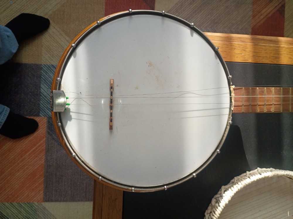 Banjo Needs Strings