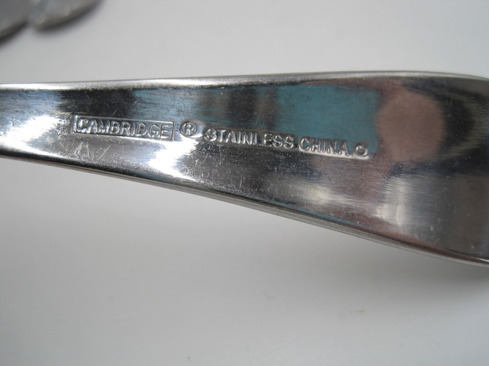 22 Pieces Cambridge CARLIE Stainless Flatware