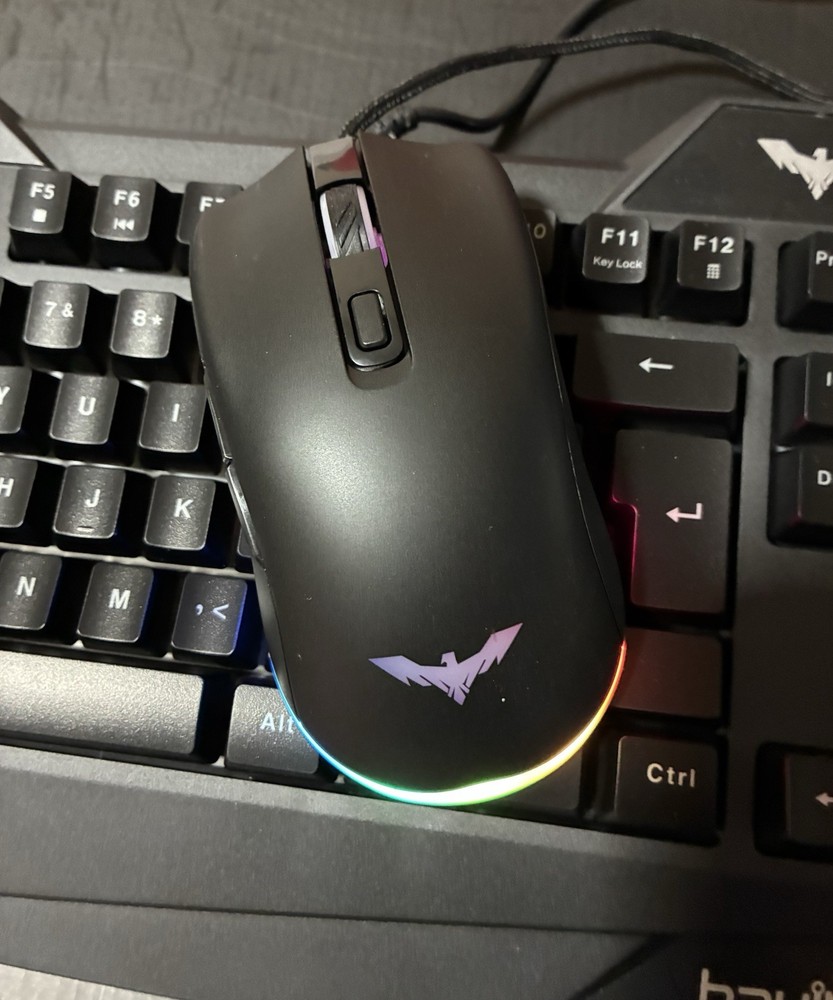 havit Magic Eagle Gaming RGB Keyboard & Programmable Mouse Wired USB MS732