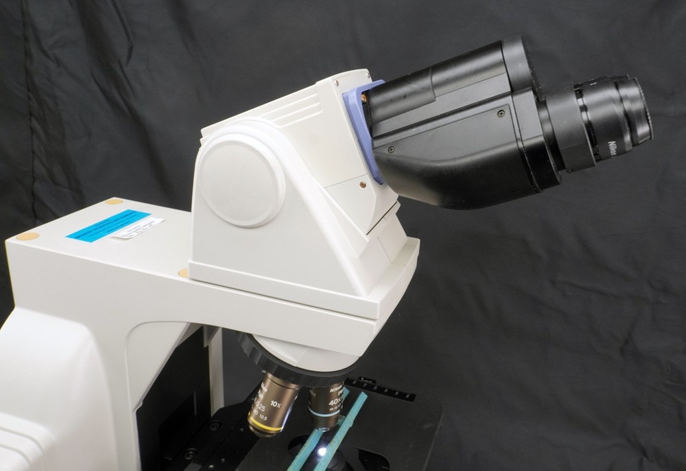 Nikon Eclipse E400 Microscope Ergo Binocular 10x Eye Plan 10/40x Objective Lot B