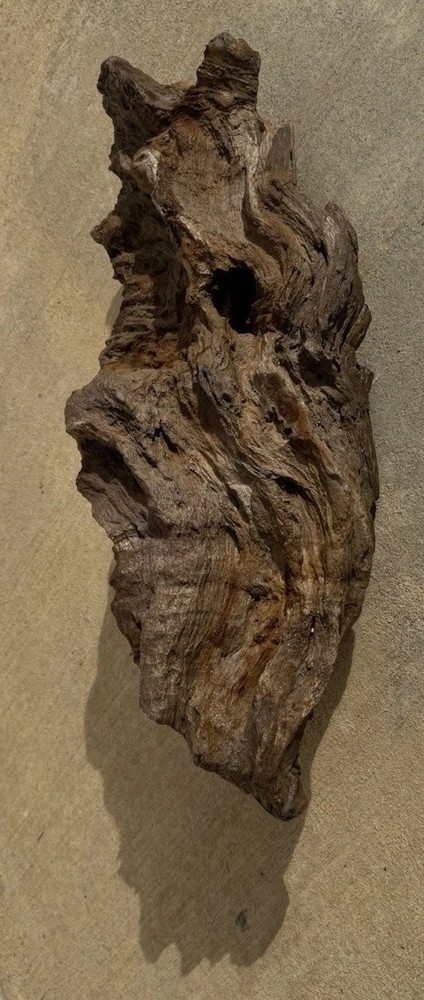 PETRIFIED LOG Large Piece.