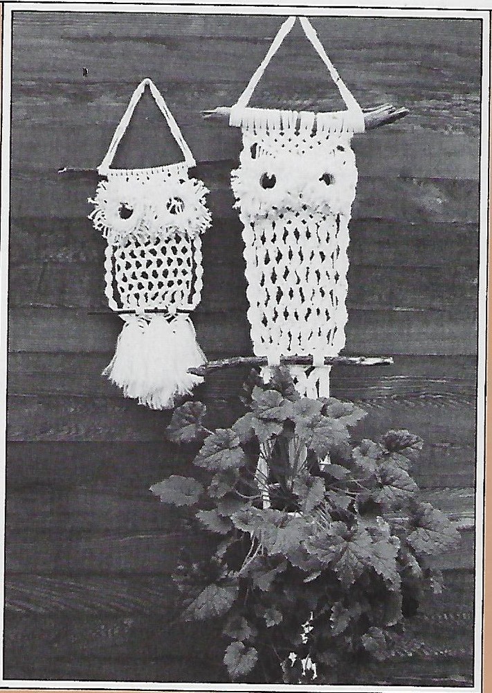 Easy Plant Hanger Patterns Macrame with Elefant Cord Featuring Fern Dangles