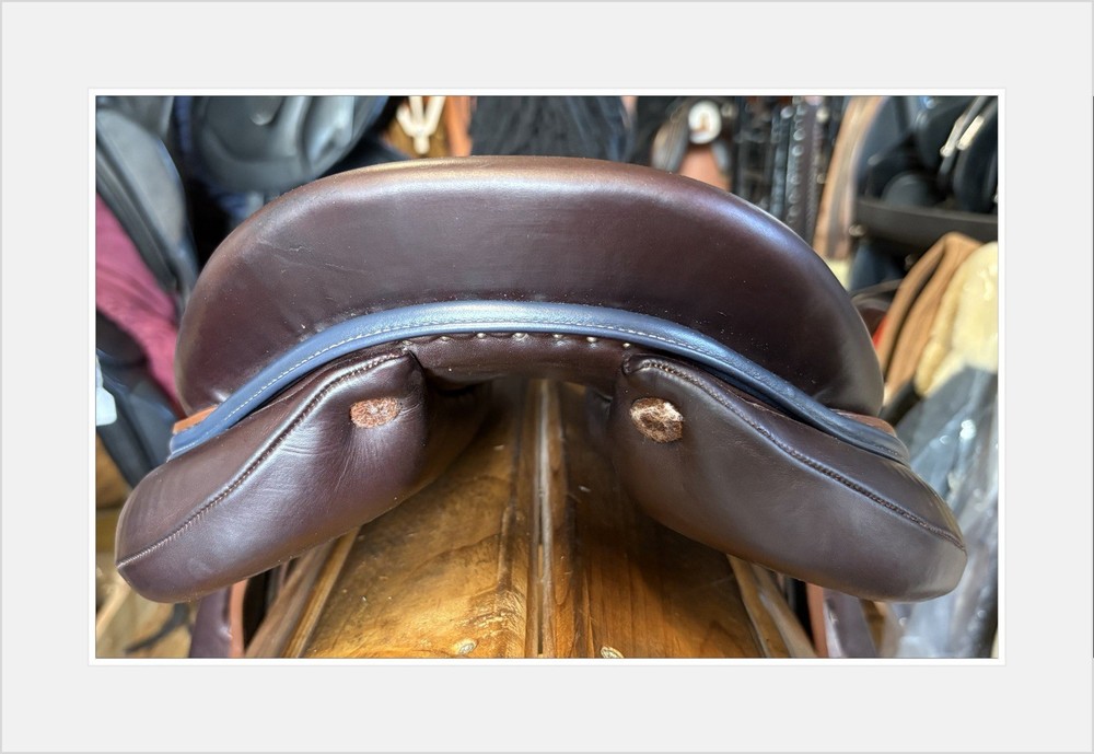 Arion C2 Event jump saddle. 17” MW