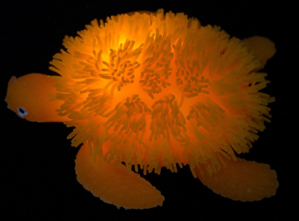 Light-Up Puffer Turtle - Squeeze / Play / Flashing Lights / Soft Spikes - 1 CT.