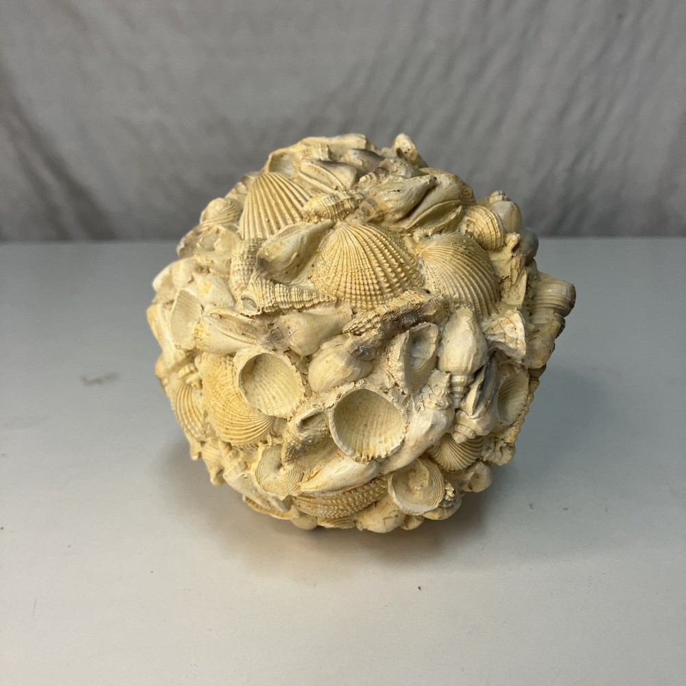 Authentic Sea Shells Round Orb Home Decor 4”x4” Beach Nautical