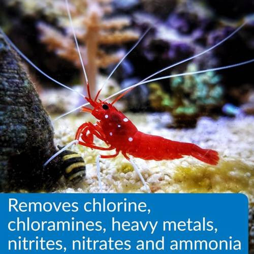 API Pond Aqua Essential Water Conditioner 32oz. 424G