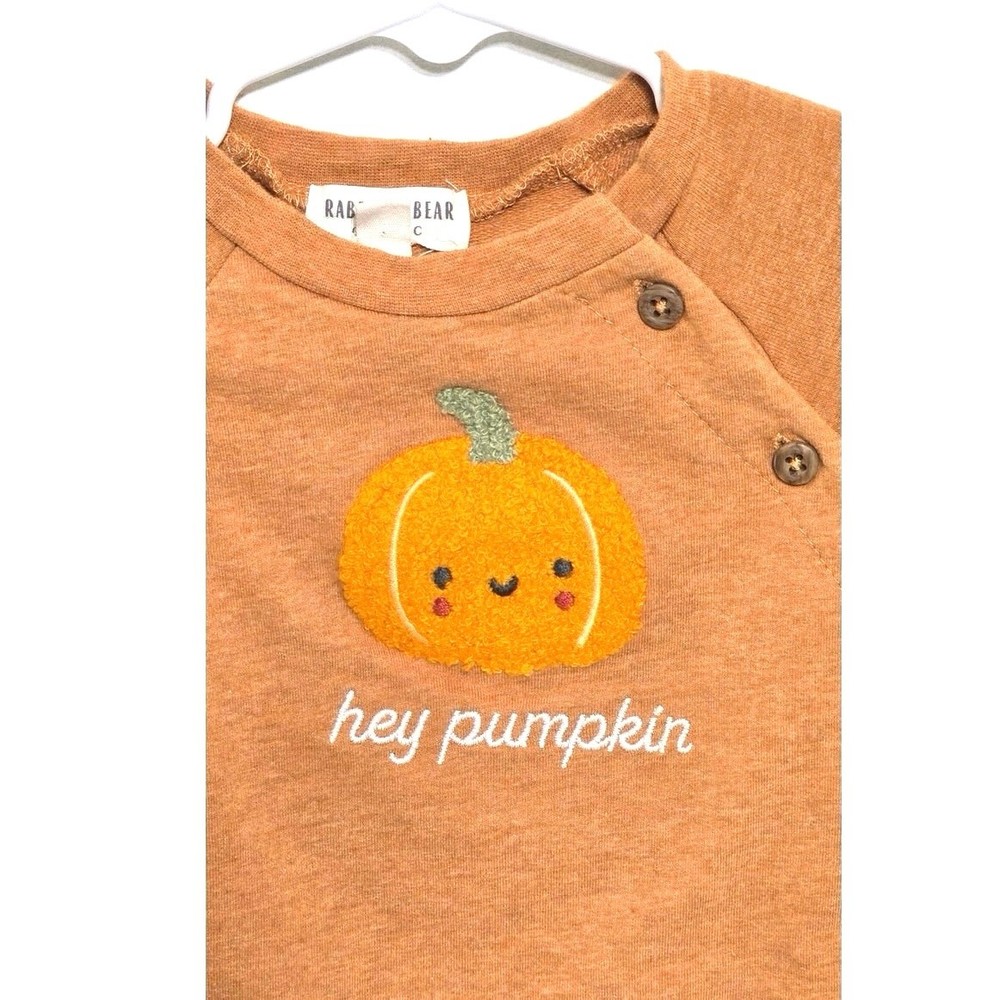 Rabbit +Bear pumpkin sweatshirt. Size 6-9 months.