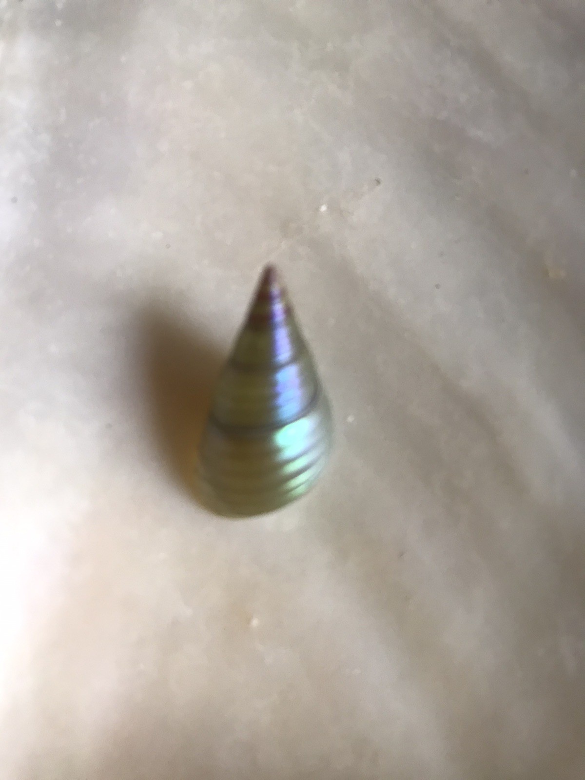 A BOX OF 20 KING MAIREENER SHELLS