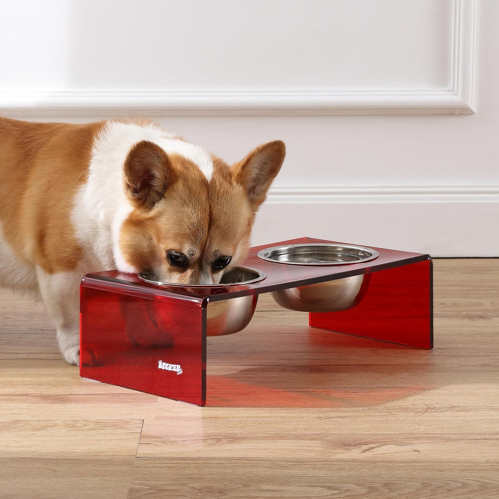 DBL2000H Keaton 5" Small/Medium Modern Acrylic Rectangular Elevated Pet Feeder w