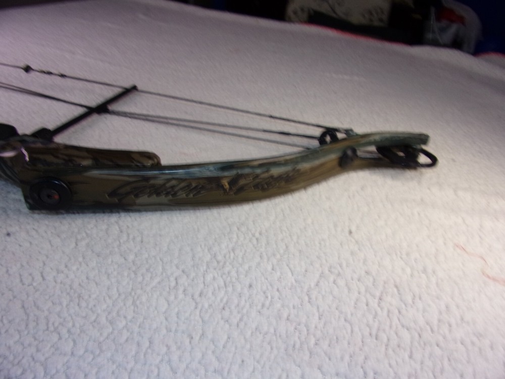Golden Eagle Hawk System Compound Bow