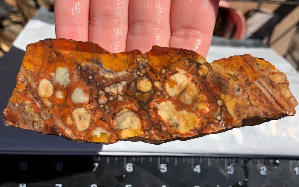 Birdseye Rhyolite 88g Rough Slab 3/8-1/2” Thick Cabbing Stone Orb Jasper