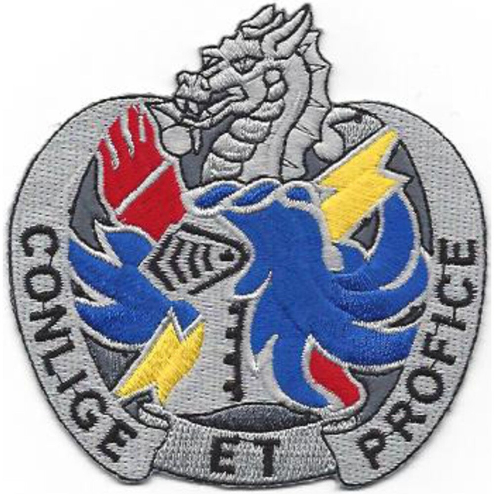 202nd Military Intelligence Battalion Patch