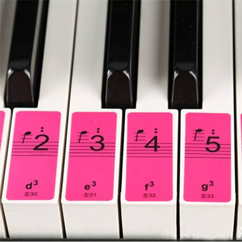 1Set 88-Key Electronic Keyboard Piano Learning Key Beginner Note Sticker Labels'