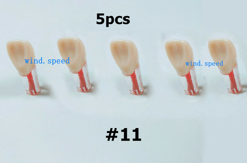 5pc Dental Root Canal Teeth Study Practice Model Endodontic Pulp Files Clear #11
