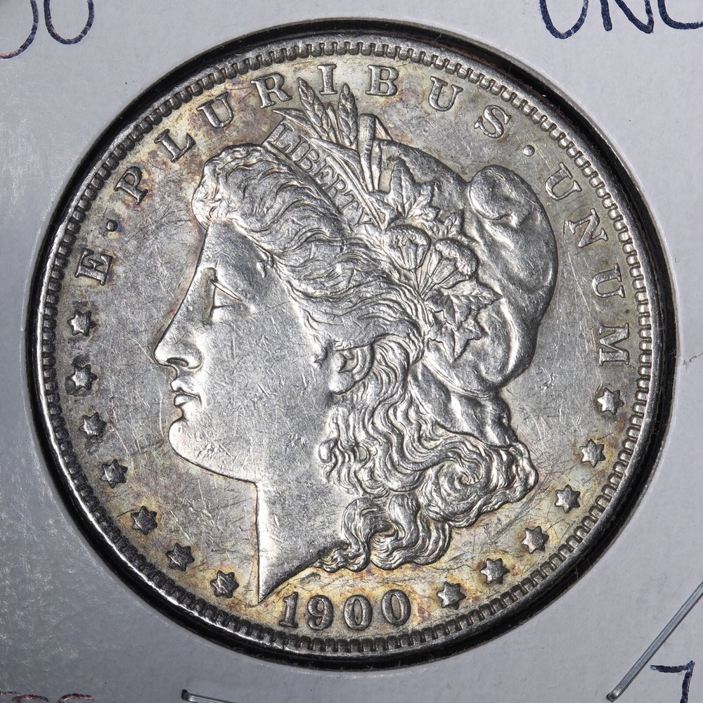 1900 Morgan Silver Dollar CHOICE UNC *UNCIRCULATED* MS E324 TEF