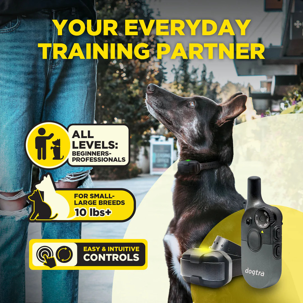 Dogtra 200IQ Dog Training Collar - 1/2 - Mile Range E-Collar