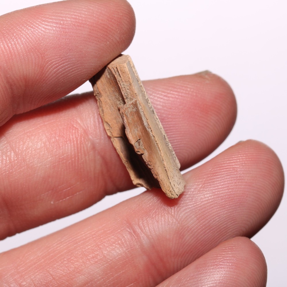 Raptor Bone Partial - Dinosaur Fossil - Cretaceous Aged - Hell Creek Formation