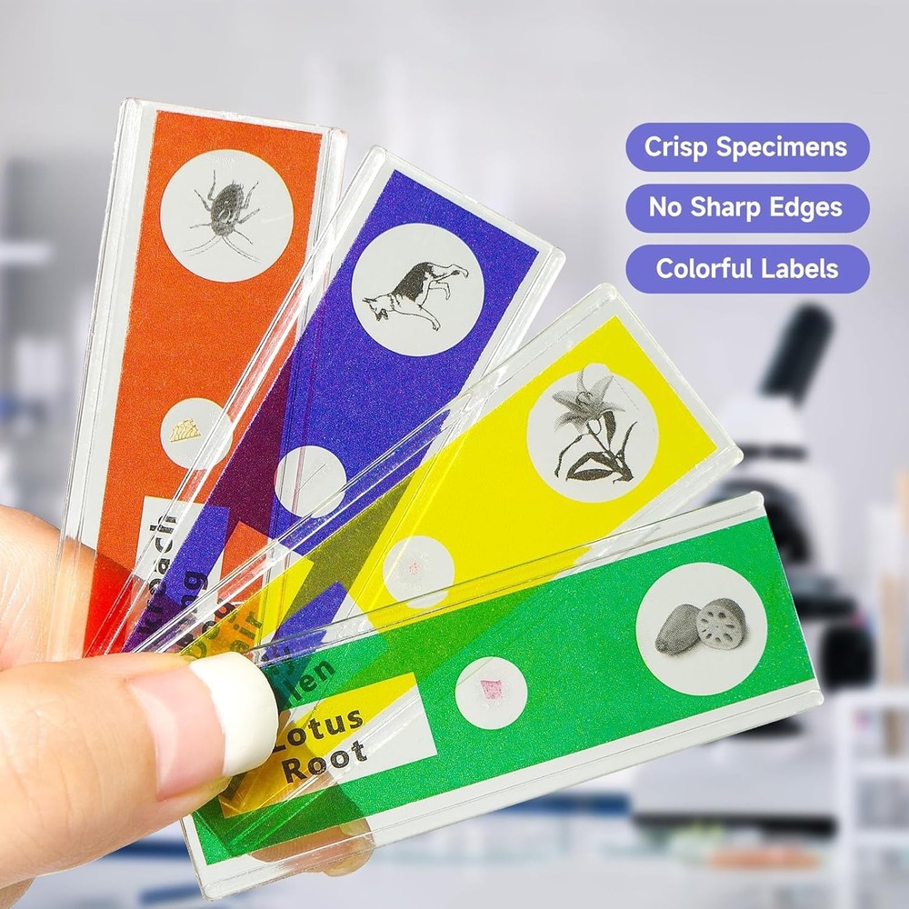 48Pcs Prepared Microscope Slides Specimen Animals Insects Plants Flowers Sample
