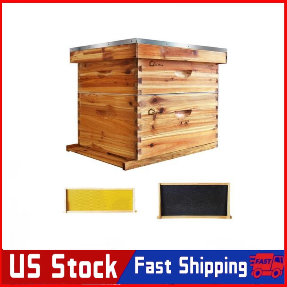 Beehive 20-Frame Langstroth Bee Hive Coated with Beeswax, Beehive Starter Kit