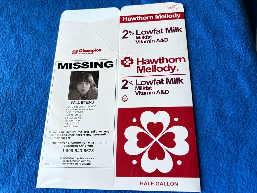 BAM BOX  Horror  MISSING MILK CARTON REPLICA Will Byers  Stranger Things