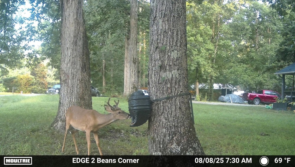 Moultrie Feed Bin - Gravity-Fed 6-Gallon Feed Bin - Easy Tree/Post Mount -40 ...