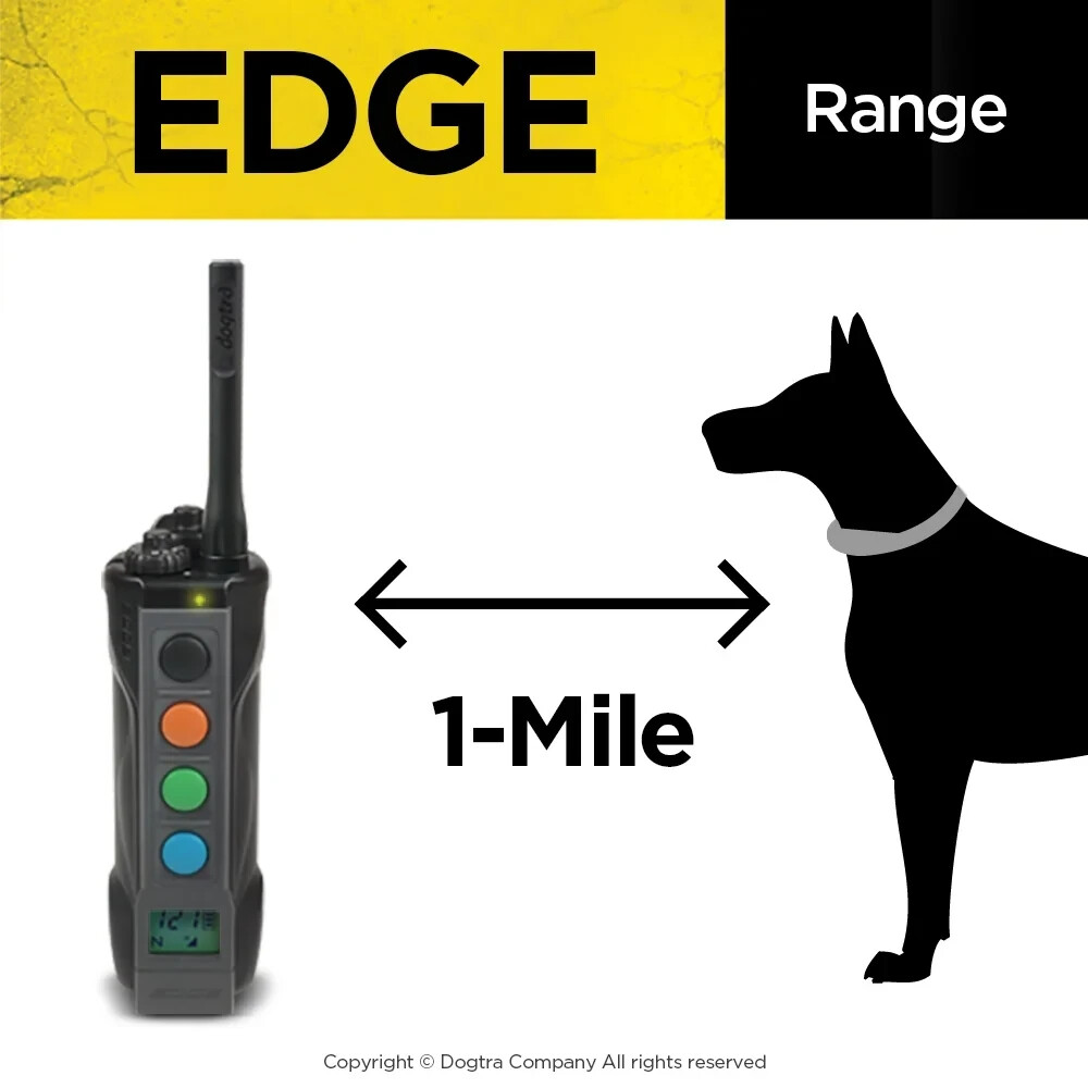 Dogtra Edge Waterproof 4-Dog Expandable Remote Training E-Collar with LED Light