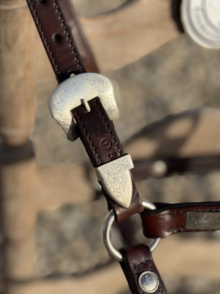 Circle Y Silver Show Halter- Mare, Supple, Quality 🏆