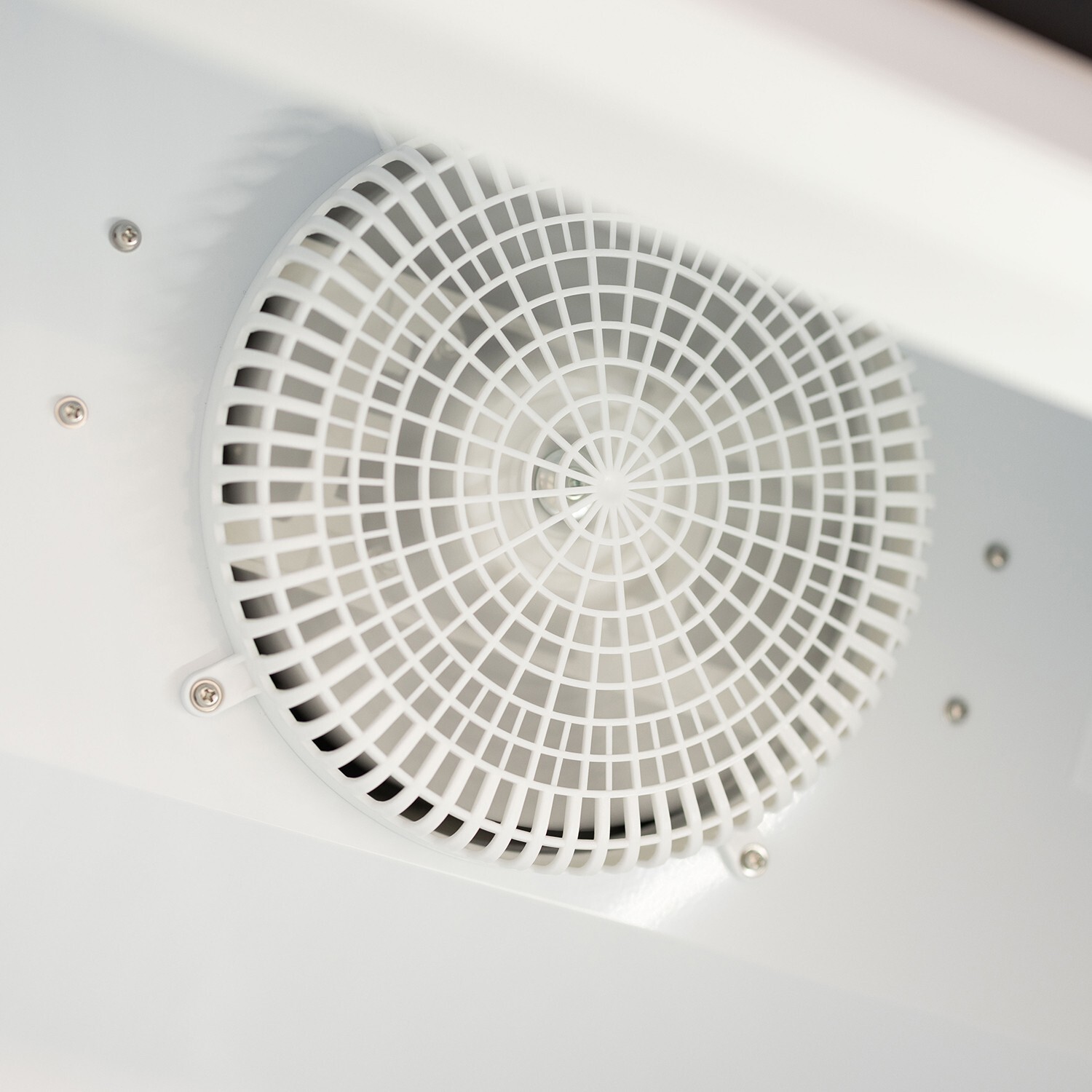 Procool Glass Door Upright Display Flower Cooler, Merchandiser Refrigerator