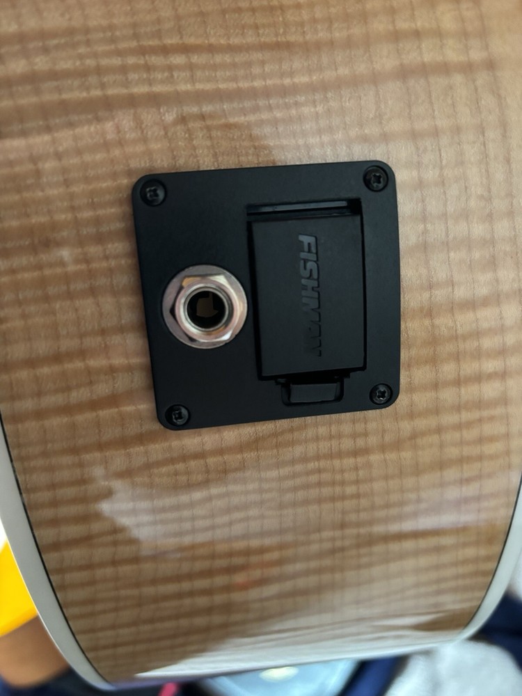 Sawtooth 12 String Guitar + Chromocast Hardshell Case