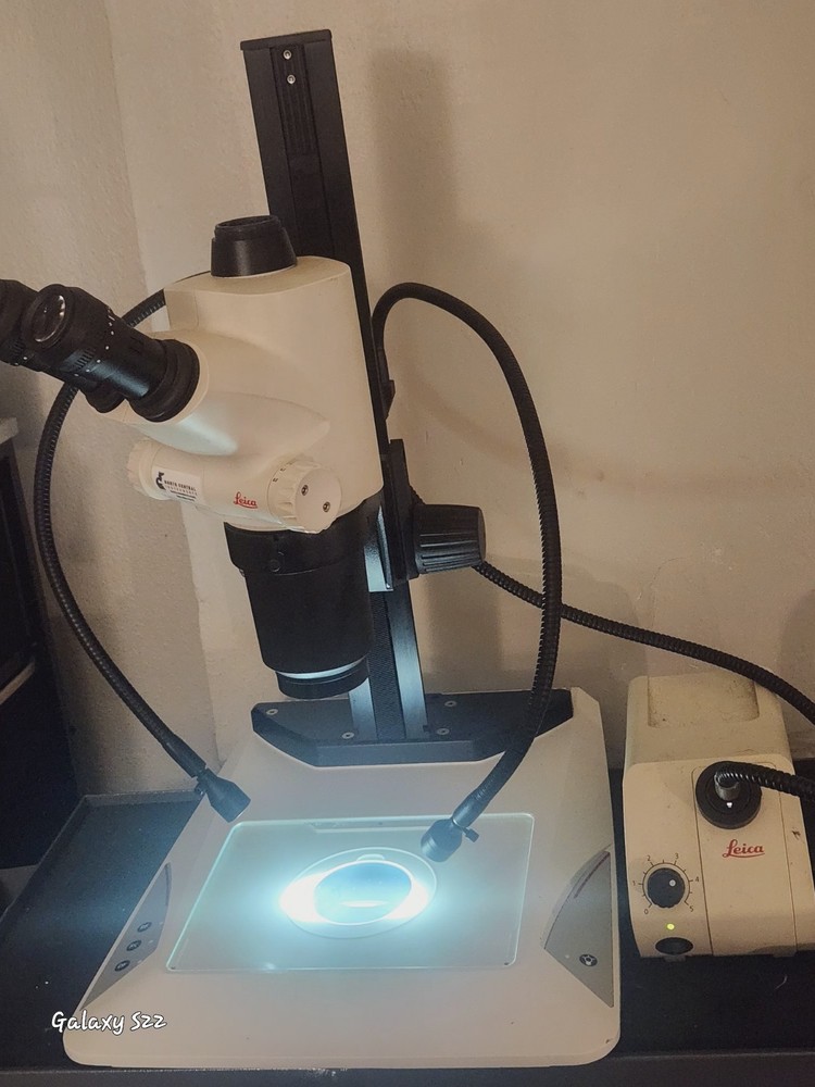Leica S8AP0 Microscope With Camera Attachment With Firewire Cable Included