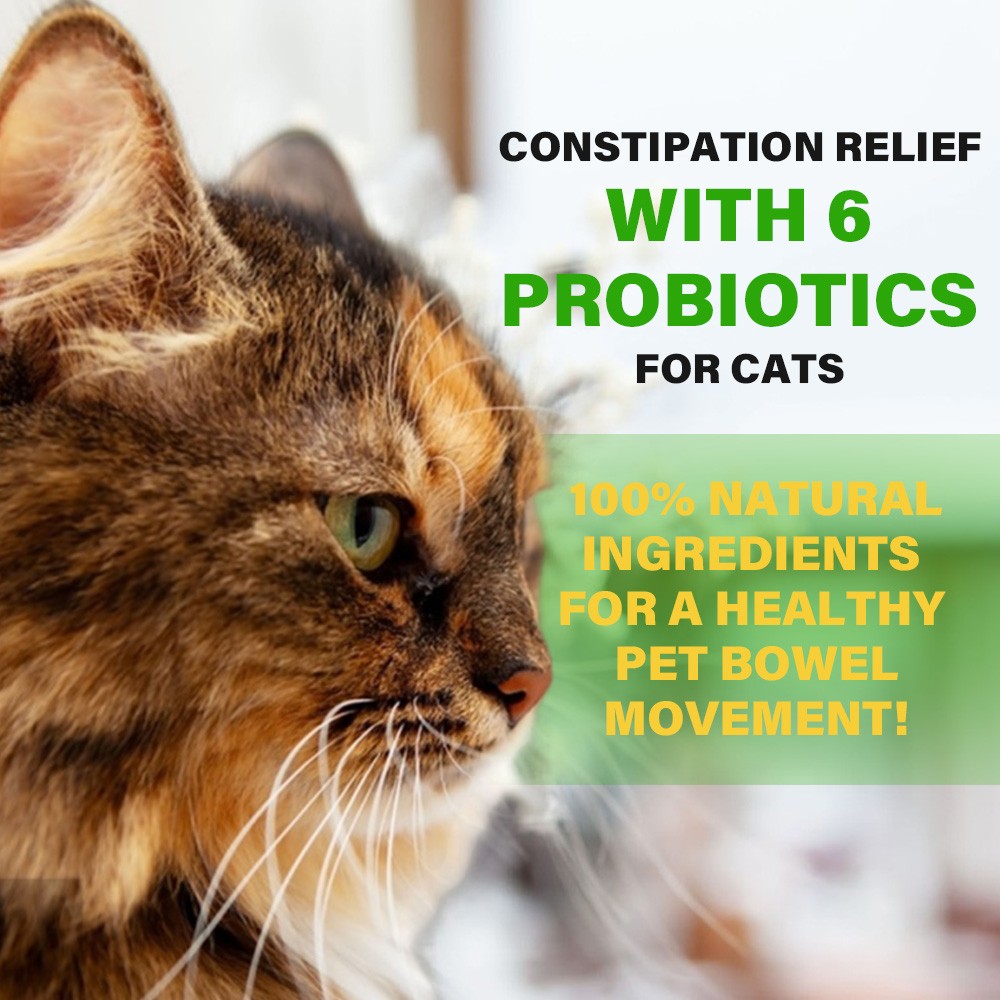 Constipation Relief For Cat with 6 Probiotics | Cat Laxative Constipation Relief