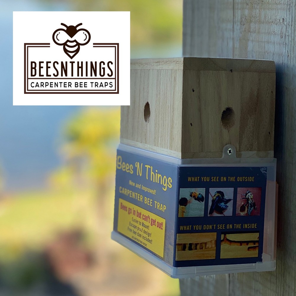 Bees N Things Outdoor Carpenter Bee Trap