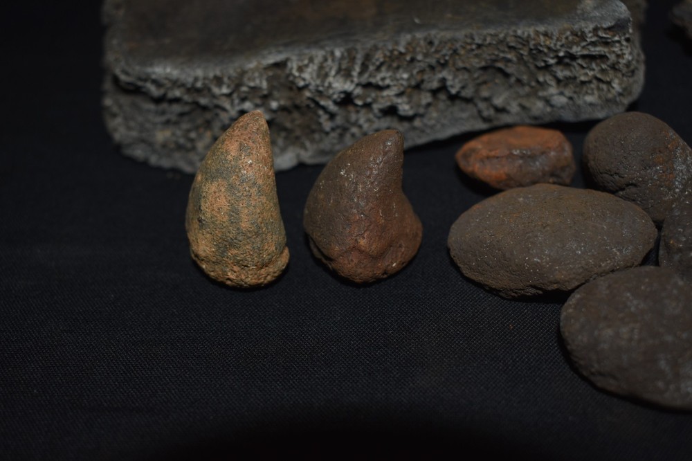 HUGE Fossil GIANT TORTOISE SHELL SECTIONS W/ 30 Osteoderms and 2 Fighting Spurs