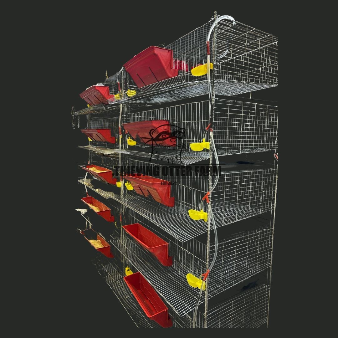 TOF Complete Coturnix Quail Cage System -- Just add quail!