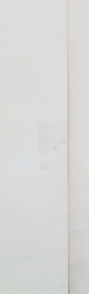 Angelfish Poster Shirley Manson 1994 Radioactive Records 18x24 Garbage RARE