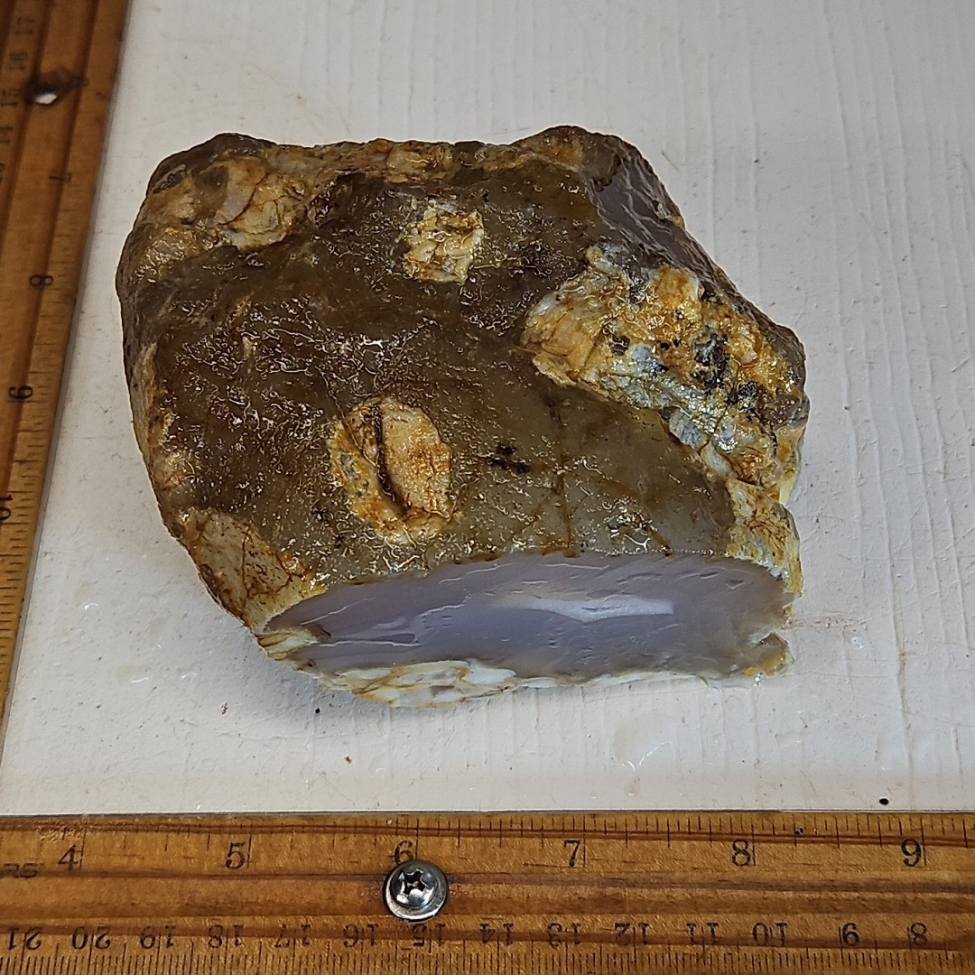 Flower Agate, Madagascar, beautiful color, flower like dendrites 1LB 15.5oz.