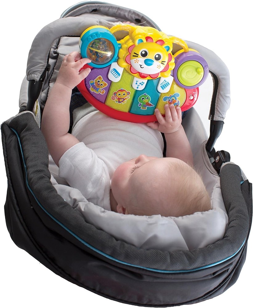Lion Activity Kick Toy