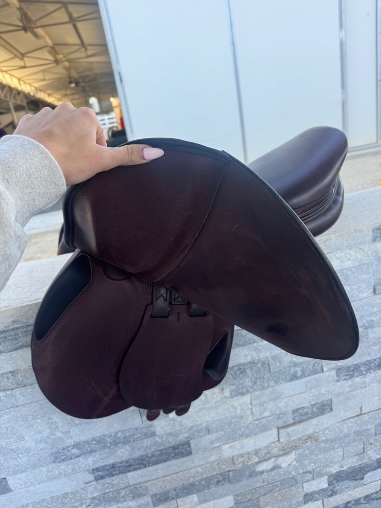 Amerigo Jumping Saddle 17.5 - Medium Wide - Great Condition