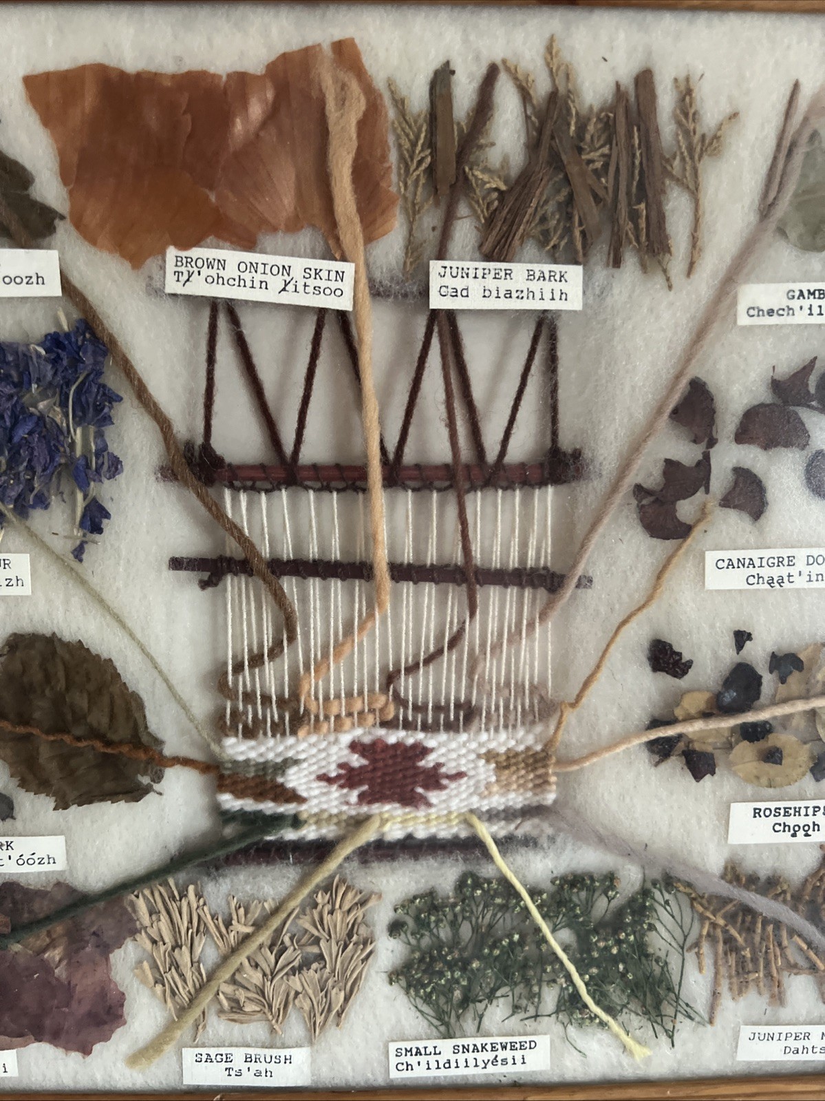 Handmade NATIVE AMERICAN PLANT DYE HERB ILLUSTRATED PICTURE SAMPLER WOVEN