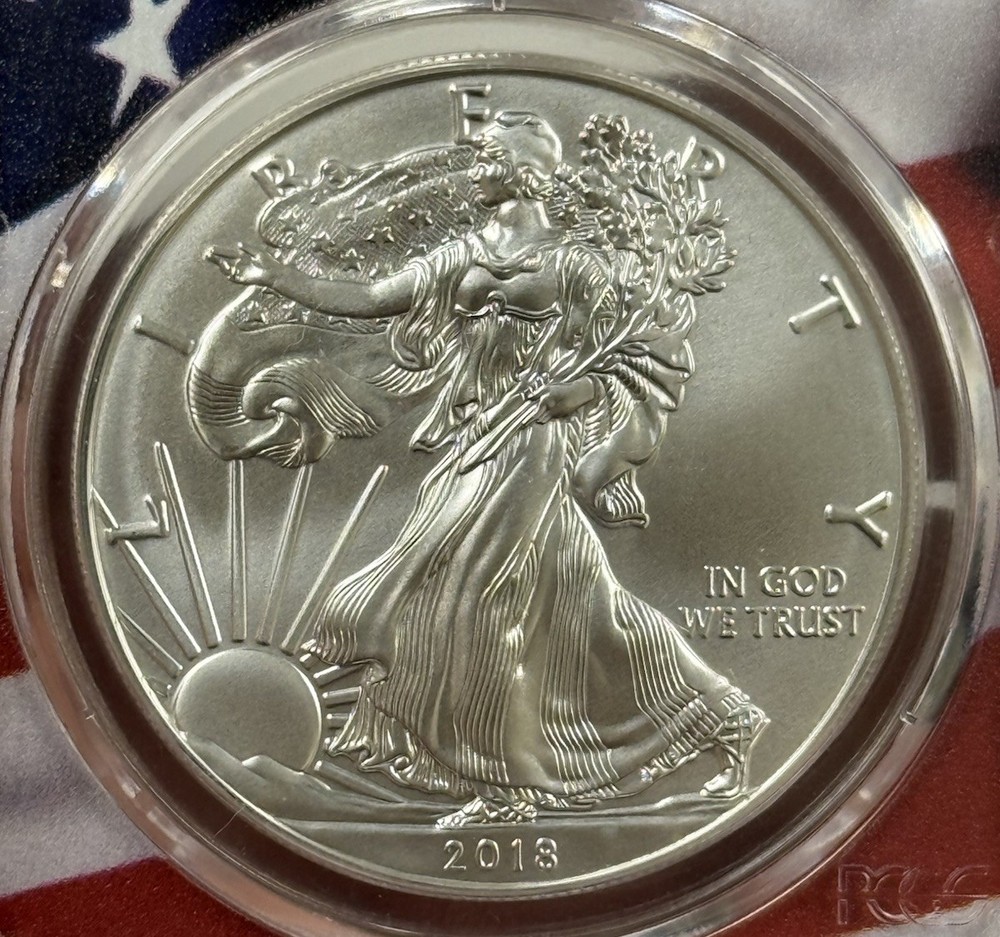 2018 W Silver Eagle Dollar SP70 Burnished PCGS Certified #8026
