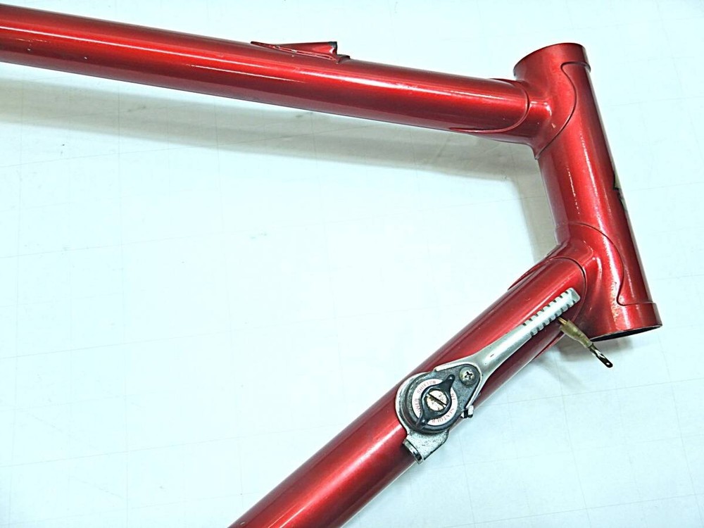 Nishiki Custom Touring Frame 540mm