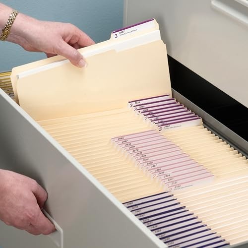 File Folders Letter Sized, 1/3-Cut Tab, Assorted Positions, Manila, 200 Count